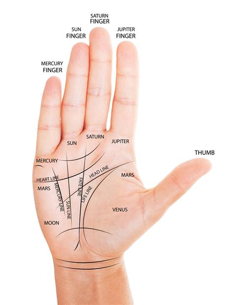 Woman hand with palm reading map. | Palm reading, Palmistry, Palm reading charts