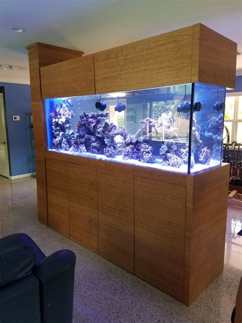 Custom Aquarium - Call Poseidon Aquariums for a Free Estimate Today!