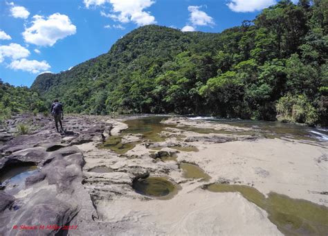 waterfalls of Iriomote island | Okinawa Nature Photography