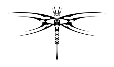 8 Creative Tribal Dragonfly Tattoos | Only Tribal