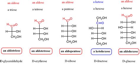 Aldoses and Ketoses - Chemistry Steps