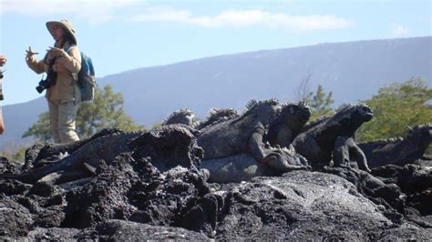 5-Day Galapagos Cruise on Coral 1 & 2 Yachts - by Adventure Life