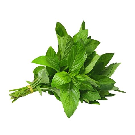 Mint Leaves, Bunch (each) from Giant Food - Instacart