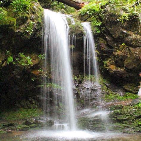 Grotto Falls Trail | Review with Photos, Tips, and Information