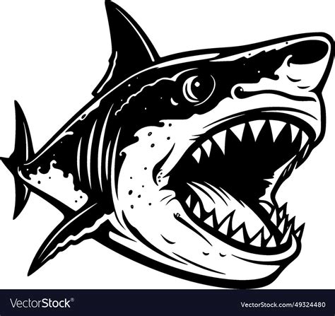 Shark - high quality logo ideal for t-shirt Vector Image