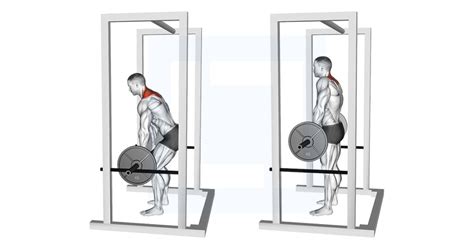 Barbell Power Shrug - Guide, Benefits, and Form