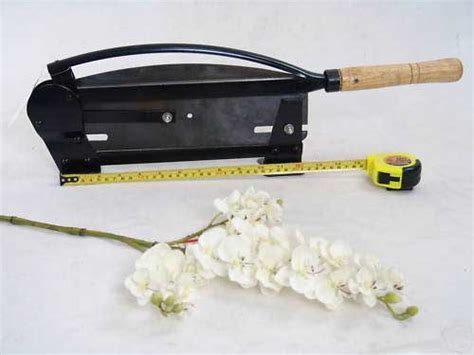 Buy Today Flower Stem Cutter (steel with 13 blade) ~ marnyschroederviolet8voice