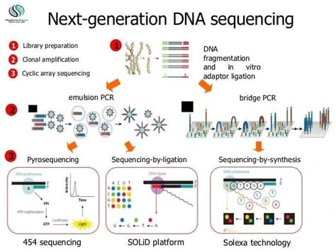 Next-generation Sequencing Steps