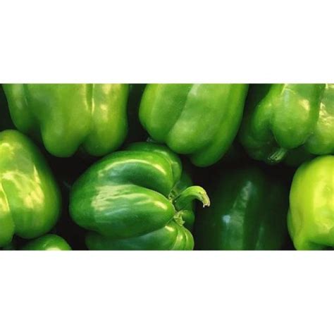 Capsicum Green - Earthymamma