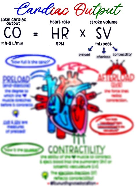 Cardiac Output - Etsy