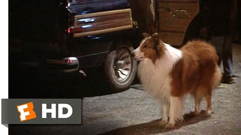 Lassie (1/9) Movie CLIP - Can We Keep Her? (1994) HD - YouTube