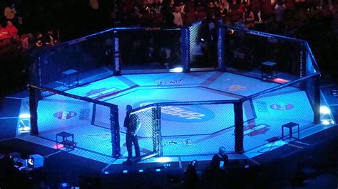 Ufc Fighting Cage