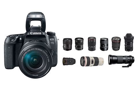 Best Lenses for Canon 77D - Daily Camera News