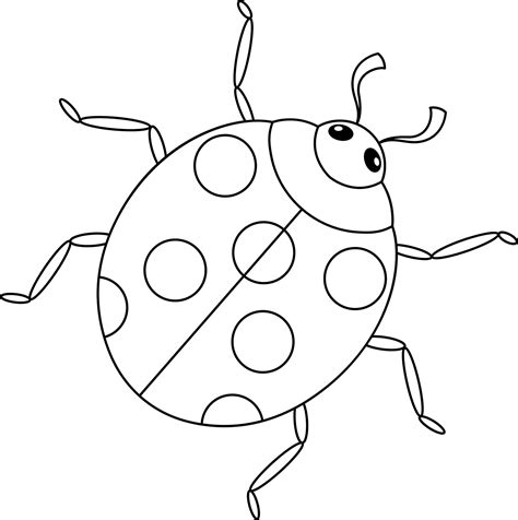 Ladybug Outline