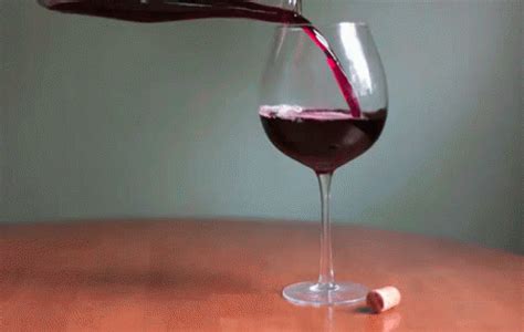 HAPPY NATIONAL WINE DAY! 😘🍷😙🍷😎 | Wine, Sympathy card messages, Cinemagraph