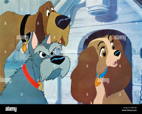 LADY AND THE TRAMP, Trusty, Jock, Lady, 1955, ©Walt Disney Pictures ...