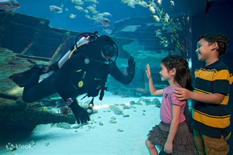 S.E.A. Aquarium VIP Tour Ticket; Singapore - Klook