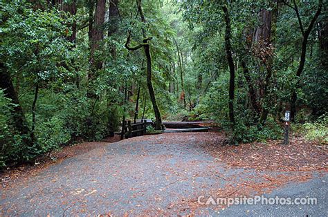 Portola Redwoods State Park - Campsite Photos, Campsite Availability