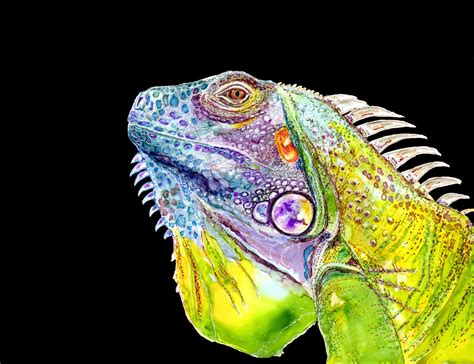 Prints Lizard Iguana painting iguana art print lizard art