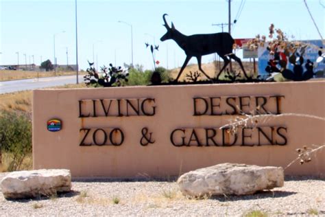 The Living Desert Zoo & Gardens, Palm Desert, CA - California Beaches