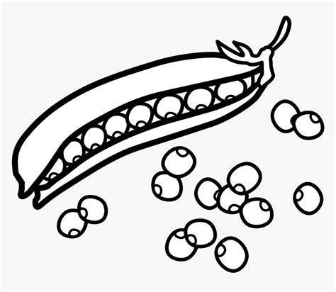 Pea Clipart Pod Real - Peas Black And White, HD Png Download - kindpng