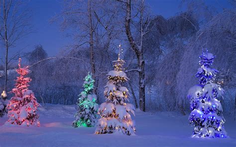 Bing Christmas Tree Wallpapers - Wallpaper Cave