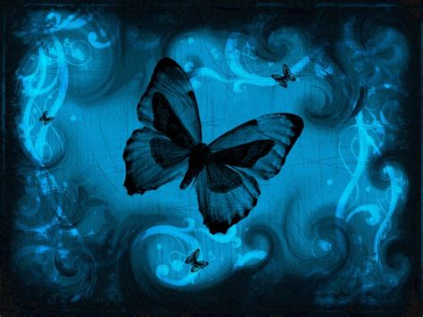 News Butterfly: Blue Butterfly Wallpaper