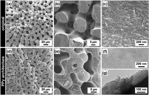 Solvent-free synthesis, coating and morphogenesis of conductive polymer ...