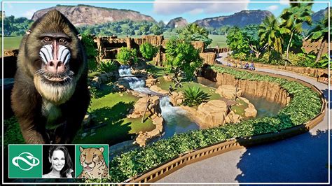 🐆 Adding a Tropical Mandrill Habitat with Waterfall in Abuya Zoo | Ep 5 | Planet Zoo - YouTube