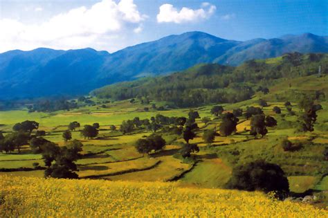 File:Araku-valley-4 big.jpg - Wikipedia