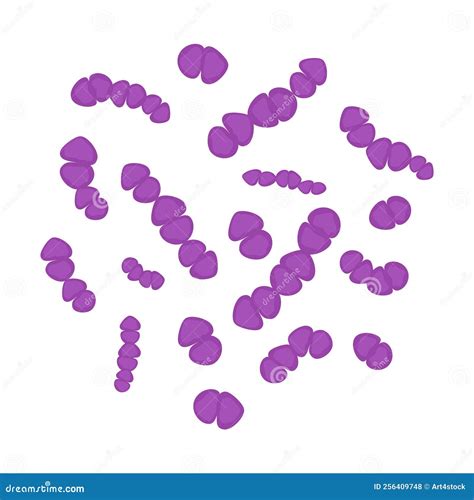 Streptococcus Pneumoniae Bacteria Cell Medical Diagram Icon Stock ...