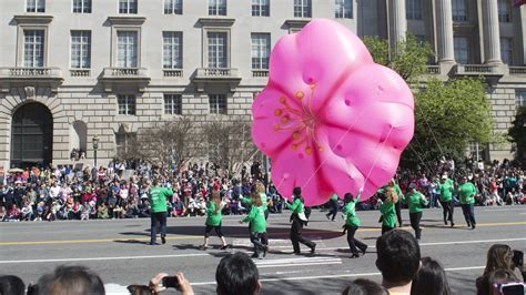 How to get to—or avoid—the Cherry Blossom Festival Parade | wusa9.com