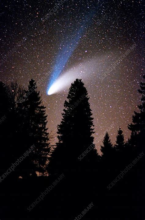 Comet Hale-Bopp - Stock Image - C022/2584 - Science Photo Library