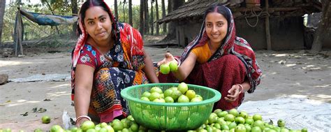 Bangladesh | Feed the Future