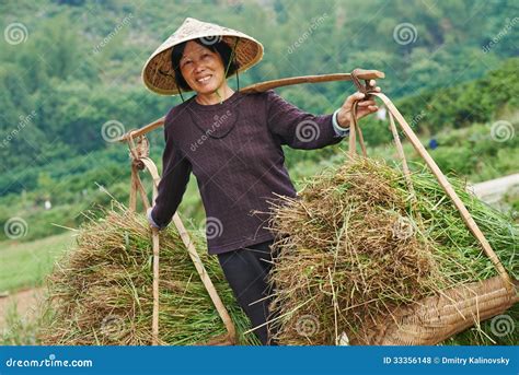 Chinese Agricultural Farm Worker Stock Photo - Image: 33356148