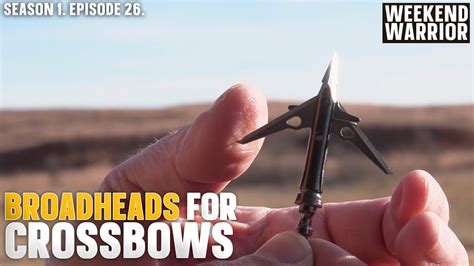 Which Broadhead You Should Use With Your Crossbow - YouTube