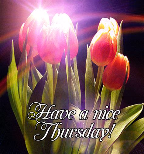 Happy Thursday Gif - GIFcen