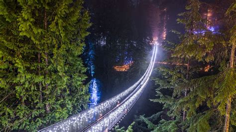 Capilano Suspension Bridge Lights: the Forest Glows for Three Months