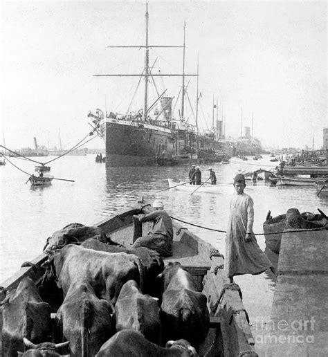 Suez Canal Trade Photograph by Library Of Congress/science Photo Library