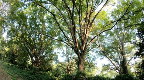 Small Town USA: Opelika, Alabama & the Gravel Roads Less Traveled - Gravel Cyclist