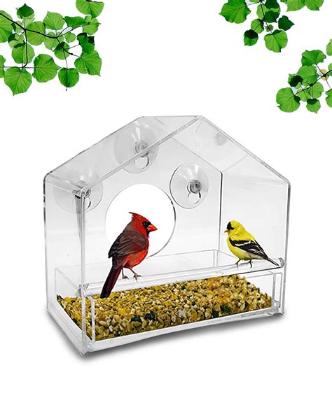 Pets At Home Bird Feeder | atelier-yuwa.ciao.jp