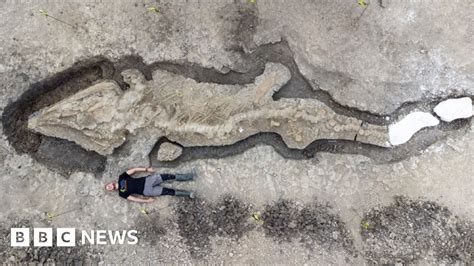 Rutland ichthyosaur fossil is largest found in UK