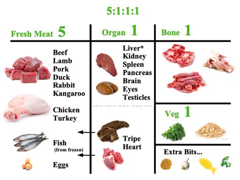 How Much Meat Feed Dog at Tyrone Sullivan blog