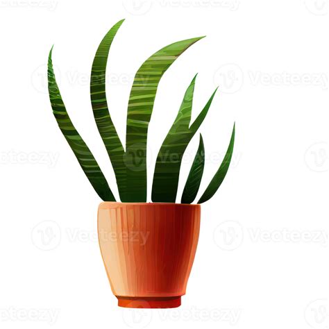 Beautiful plants in ceramic pots . AI Generated 23357025 PNG