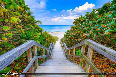 Juno Beach Florida Beach Access 20 | Royal Stock Photo