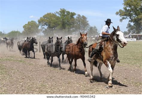 Gaucho Rides Horse Buenos Aires Argentina Stock Photo (Edit Now) 90445342