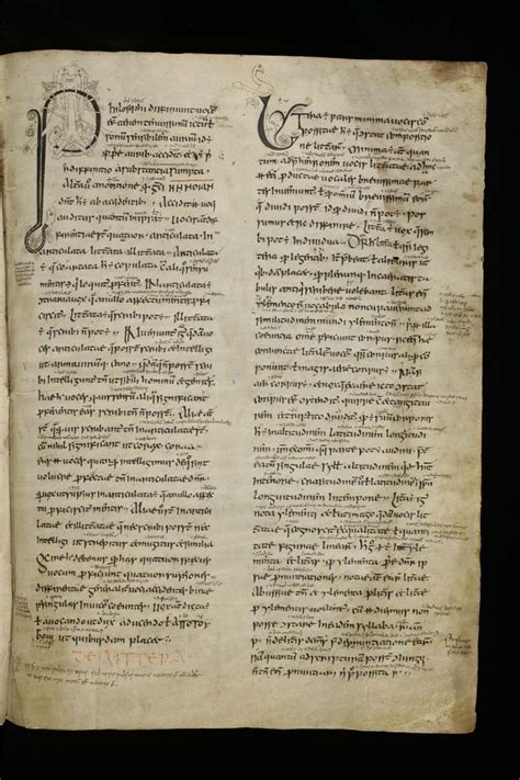 The Irish Priscian manuscript of St. Gallen: a copy of the Latin ...