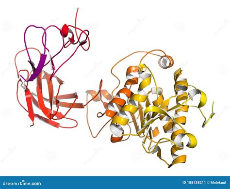 Pdb1N8S Clipart And Illustrations