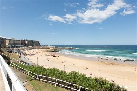 NOVOTEL NEWCASTLE BEACH $114 ($̶1̶3̶0̶) - Updated 2020 Prices & Hotel Reviews - Australia ...