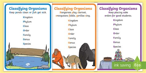 Mnemonics for classification of living things (teacher made)